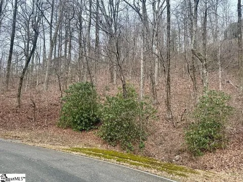 00 Indian Pipe Trail