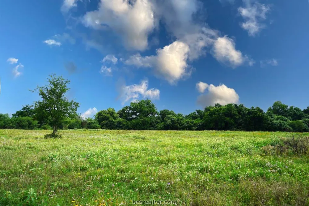Holle Ln Washington, TX 77880
