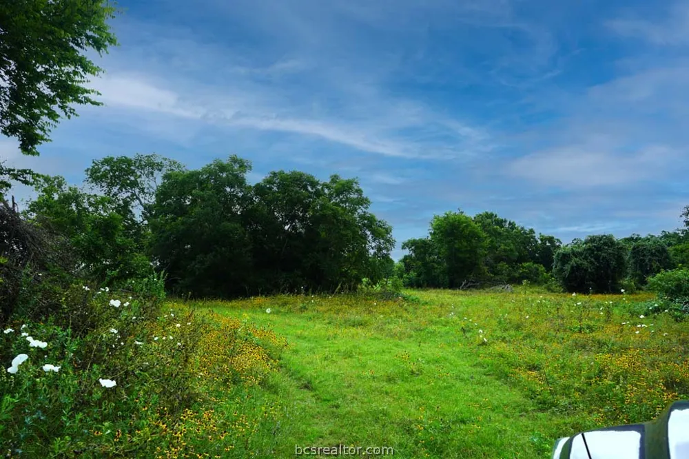 Holle Ln Washington, TX 77880