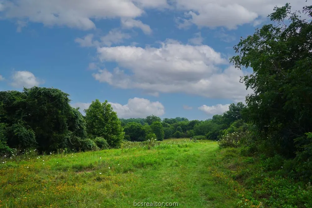 Holle Ln Washington, TX 77880