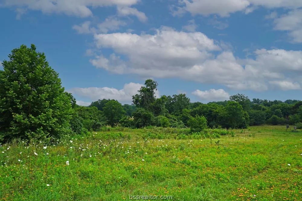 Holle Ln Washington, TX 77880