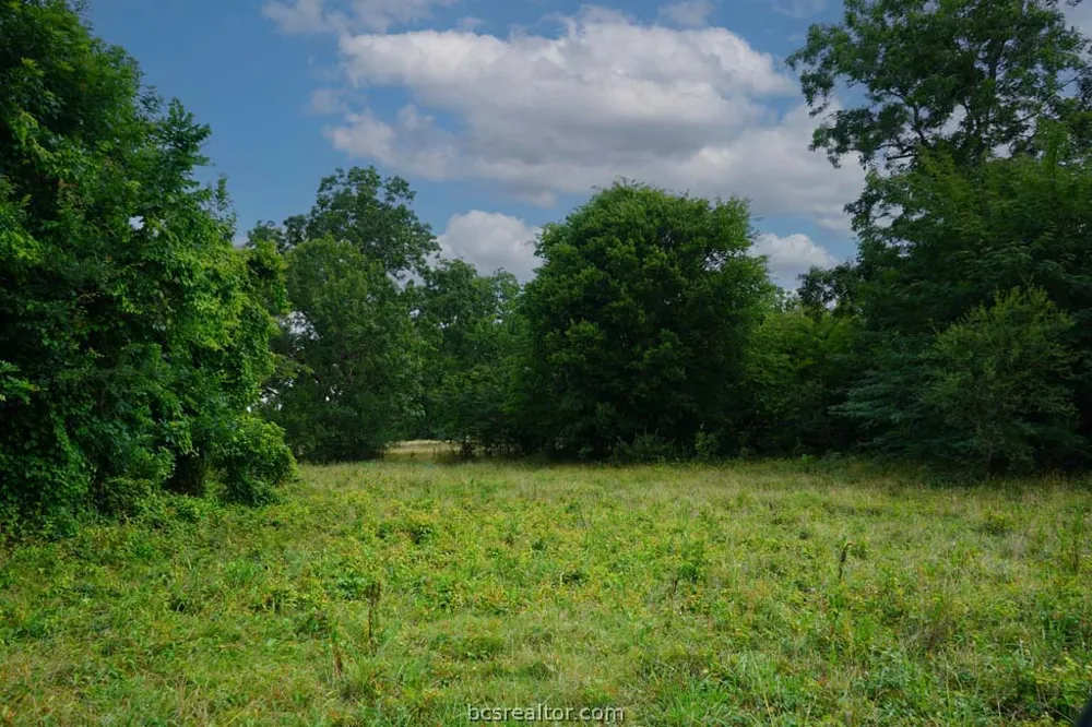 Holle Ln Washington, TX 77880