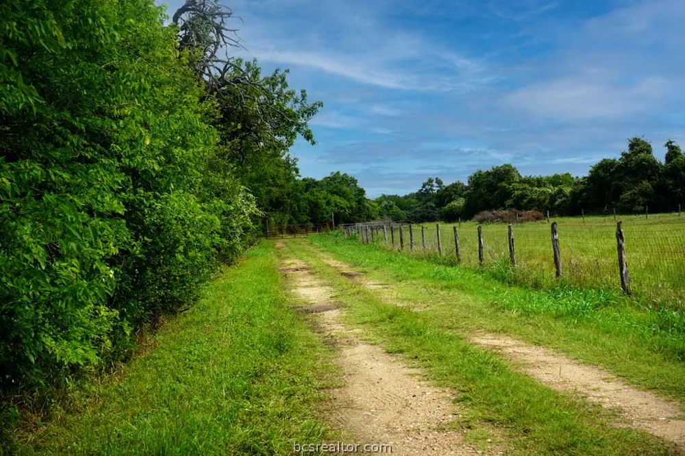 Holle Ln Washington, TX 77880