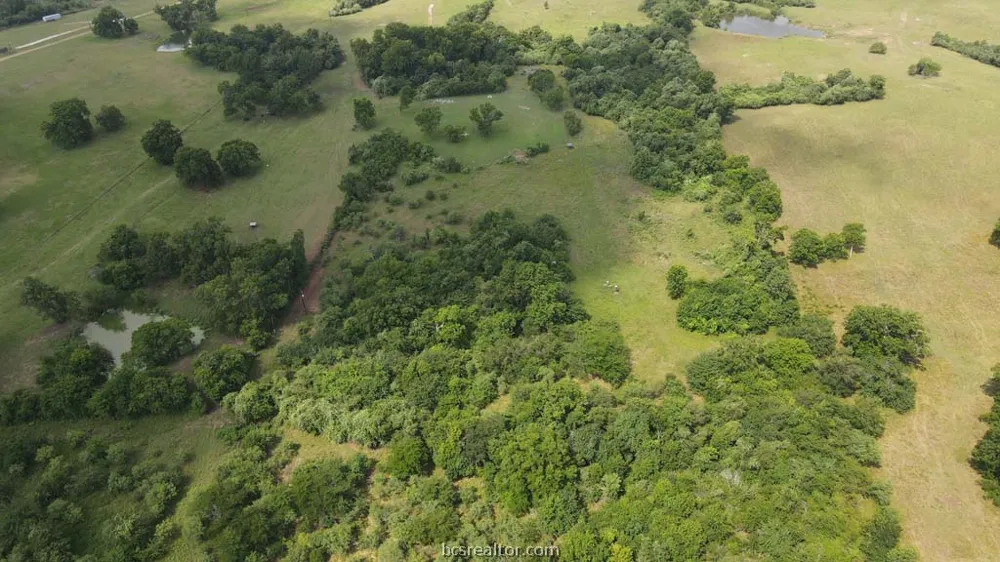 Holle Ln Washington, TX 77880