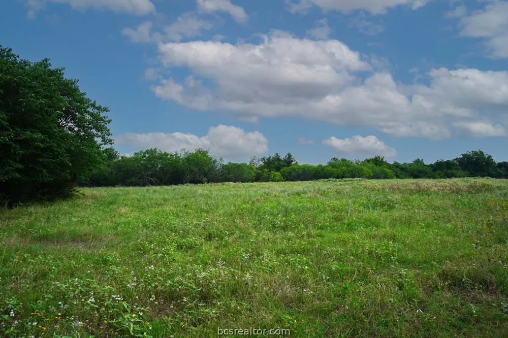 Holle Ln Washington, TX 77880