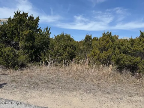 7 Snowy Egret Trail