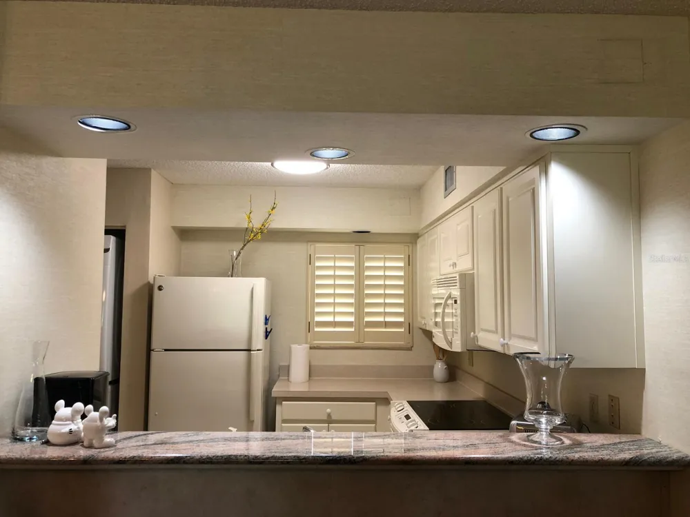 29129 BAY HOLLOW DRIVE #3203 Wesley Chapel, FL 33543