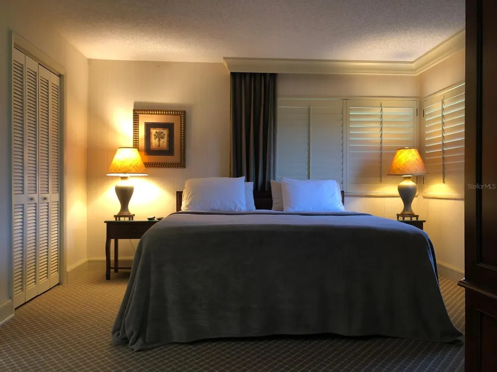 29129 BAY HOLLOW DRIVE #3203 Wesley Chapel, FL 33543