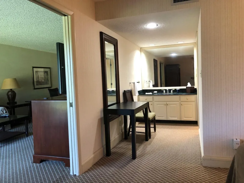 29129 BAY HOLLOW DRIVE #3203 Wesley Chapel, FL 33543