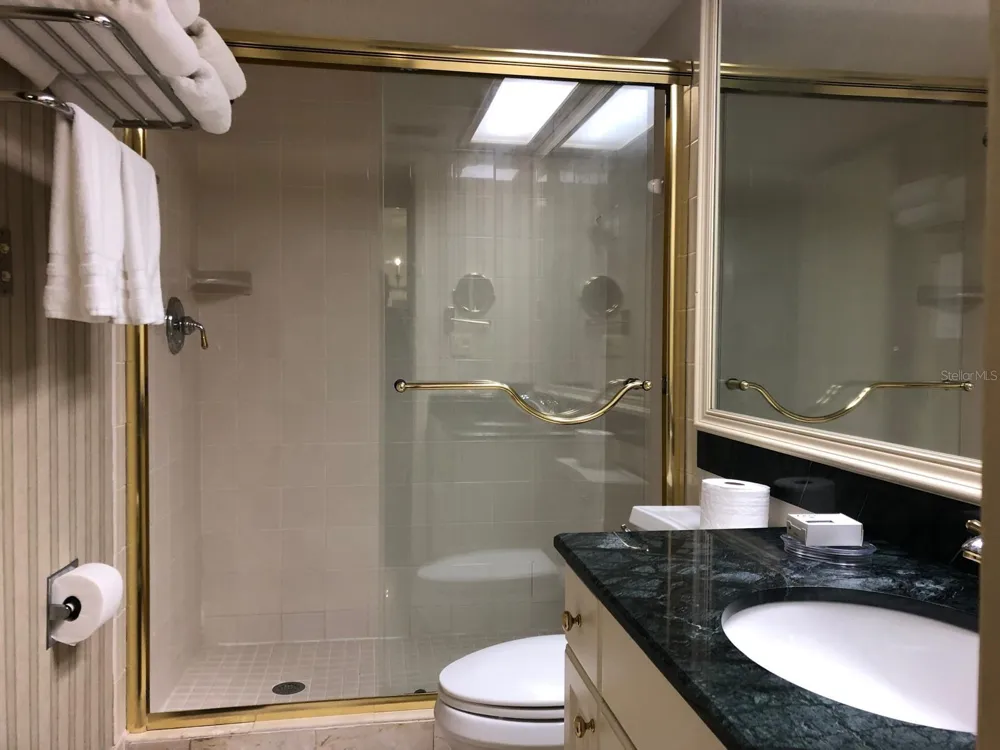 29129 BAY HOLLOW DRIVE #3203 Wesley Chapel, FL 33543