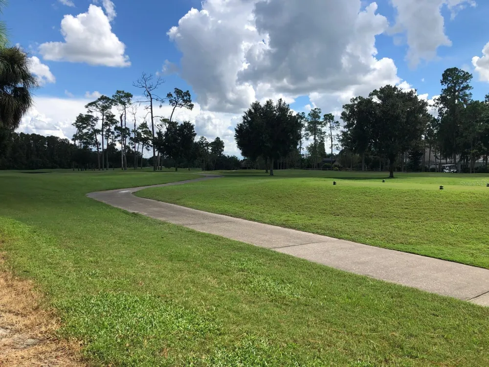 29129 BAY HOLLOW DRIVE #3203 Wesley Chapel, FL 33543