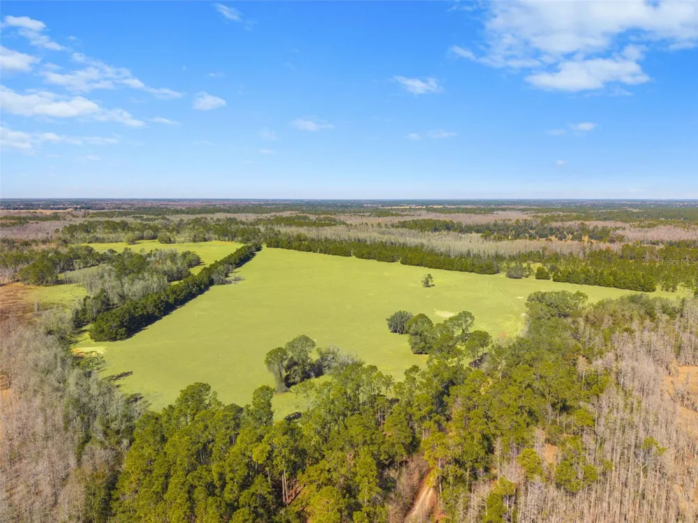 LAKE ERIE ROAD Groveland, FL 34736