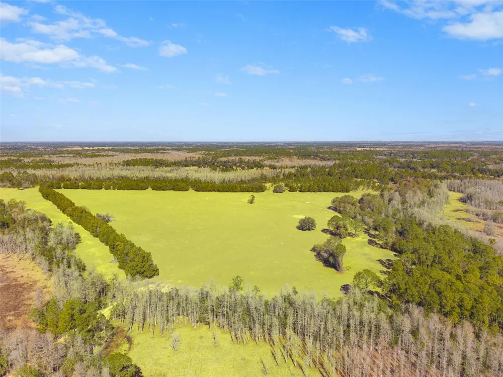 LAKE ERIE ROAD Groveland, FL 34736