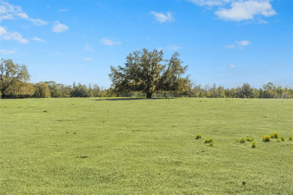 LAKE ERIE ROAD Groveland, FL 34736