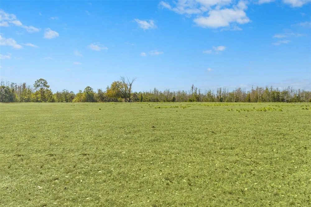 LAKE ERIE ROAD Groveland, FL 34736