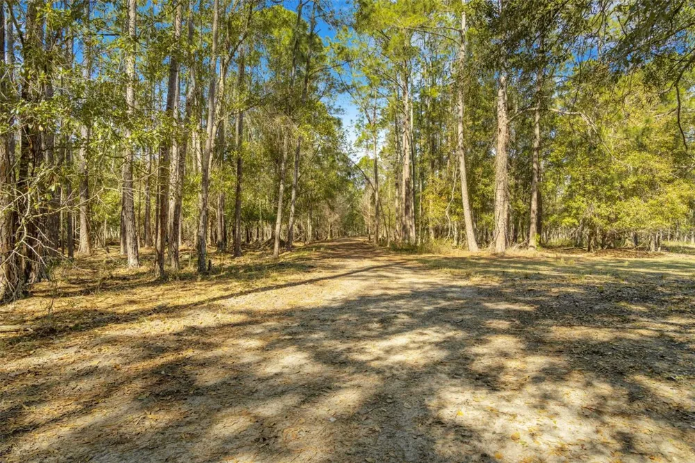 LAKE ERIE ROAD Groveland, FL 34736