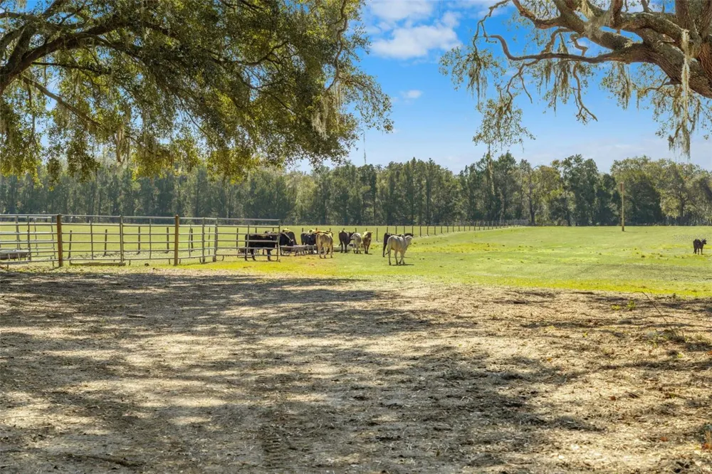LAKE ERIE ROAD Groveland, FL 34736