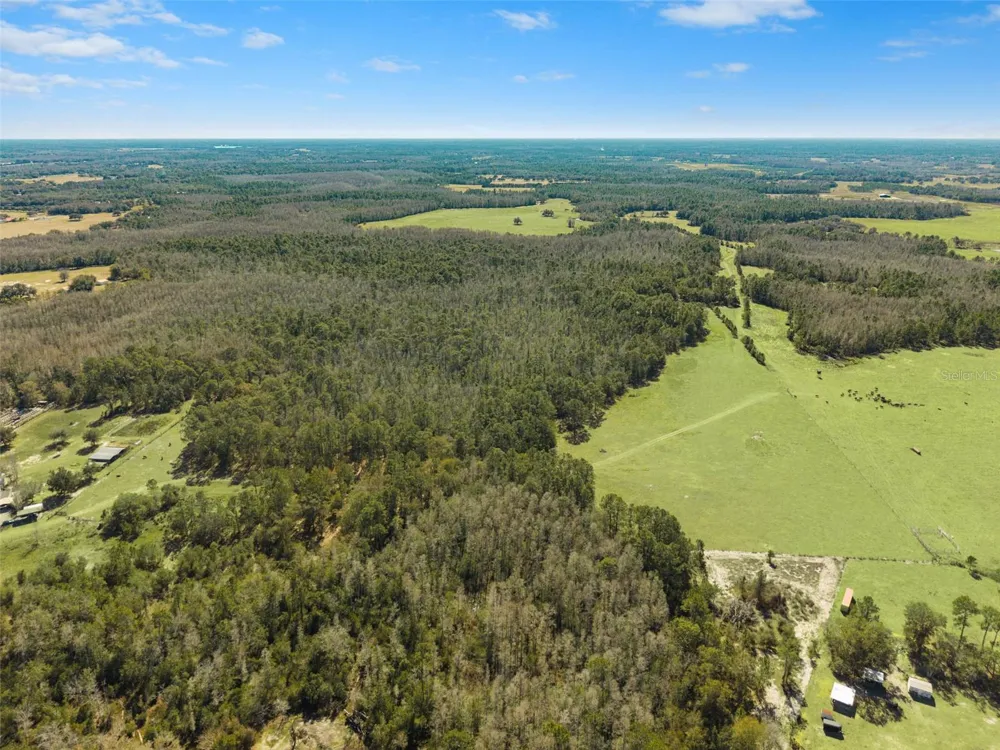 LAKE ERIE ROAD Groveland, FL 34736