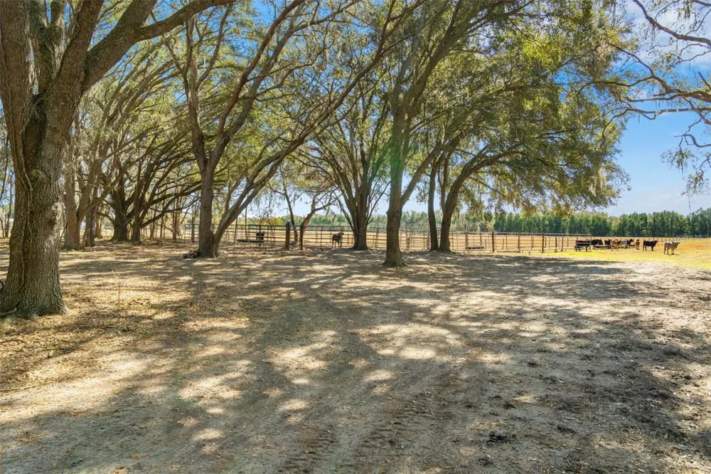 LAKE ERIE ROAD Groveland, FL 34736