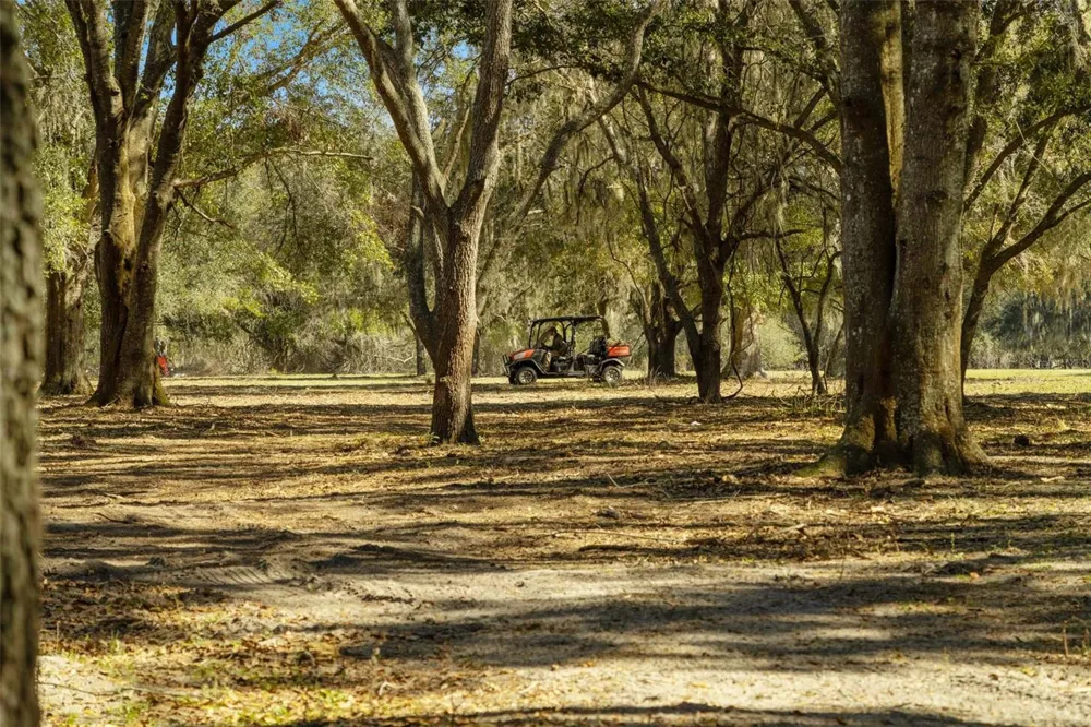 LAKE ERIE ROAD Groveland, FL 34736