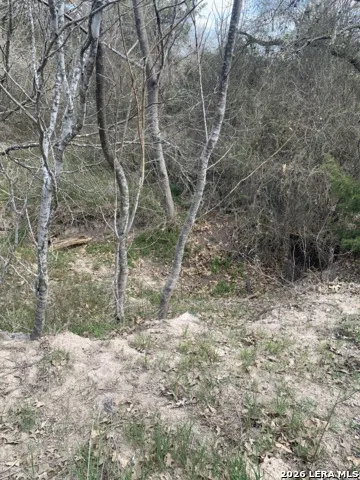 00 Cr 401 Waelder, TX 78959