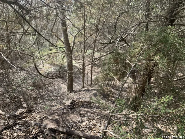 00 Cr 401 Waelder, TX 78959