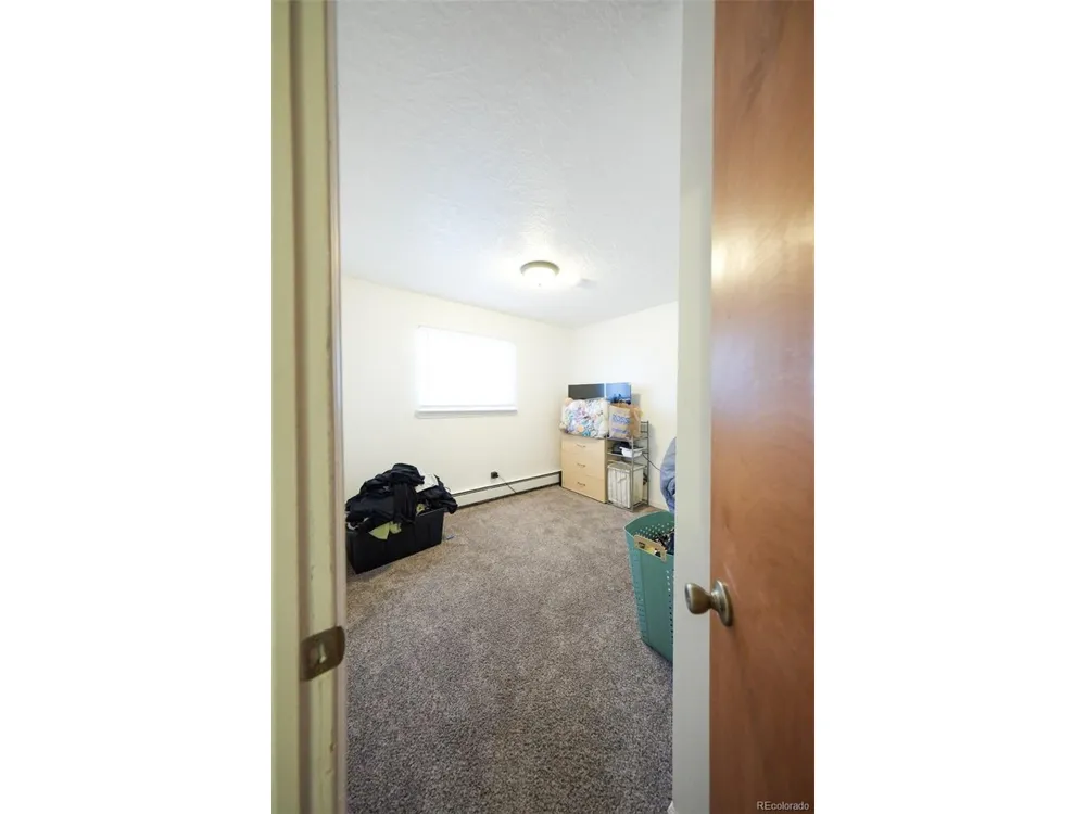 207 Bonney Drive Alamosa, CO 81101