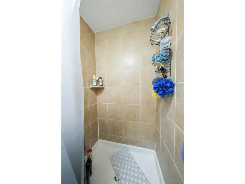 207 Bonney Drive Alamosa, CO 81101