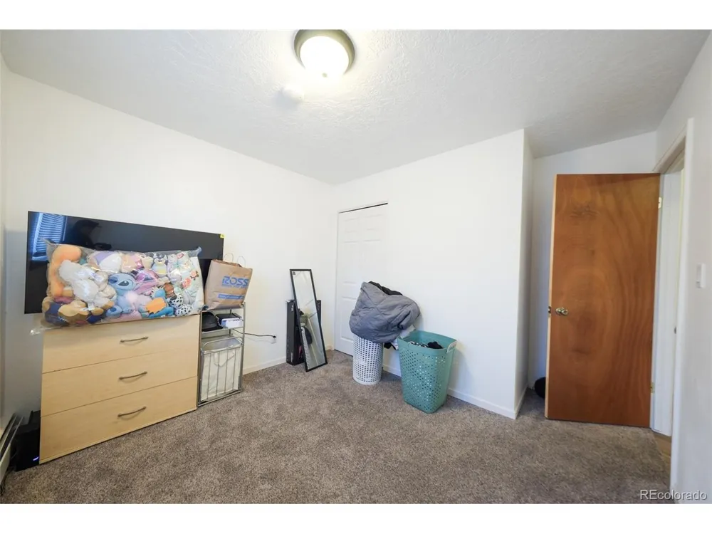207 Bonney Drive Alamosa, CO 81101