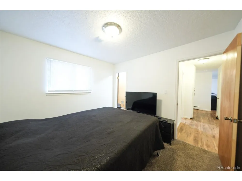 207 Bonney Drive Alamosa, CO 81101