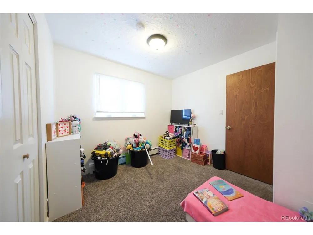 207 Bonney Drive Alamosa, CO 81101