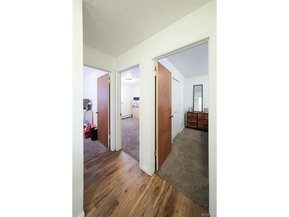 207 Bonney Drive Alamosa, CO 81101