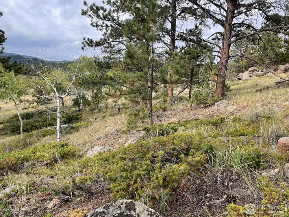 123 Tahlequah Way Red Feather Lakes, CO 80545