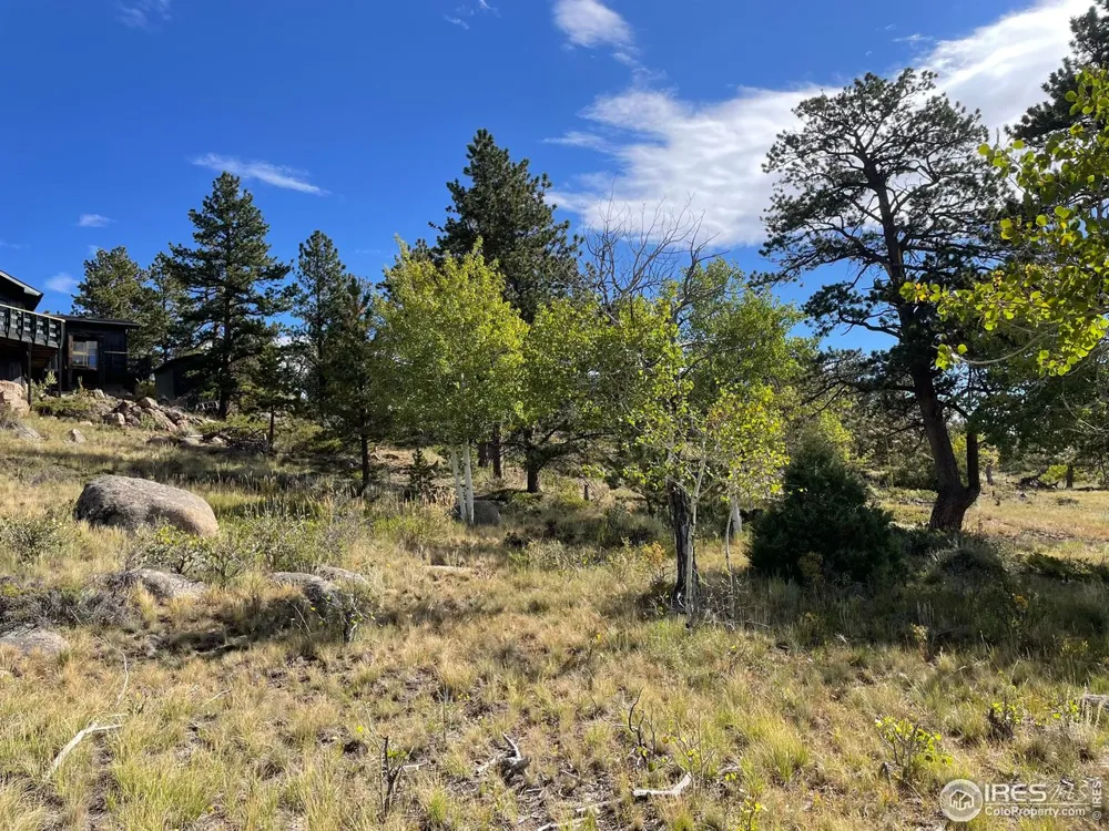 123 Tahlequah Way Red Feather Lakes, CO 80545