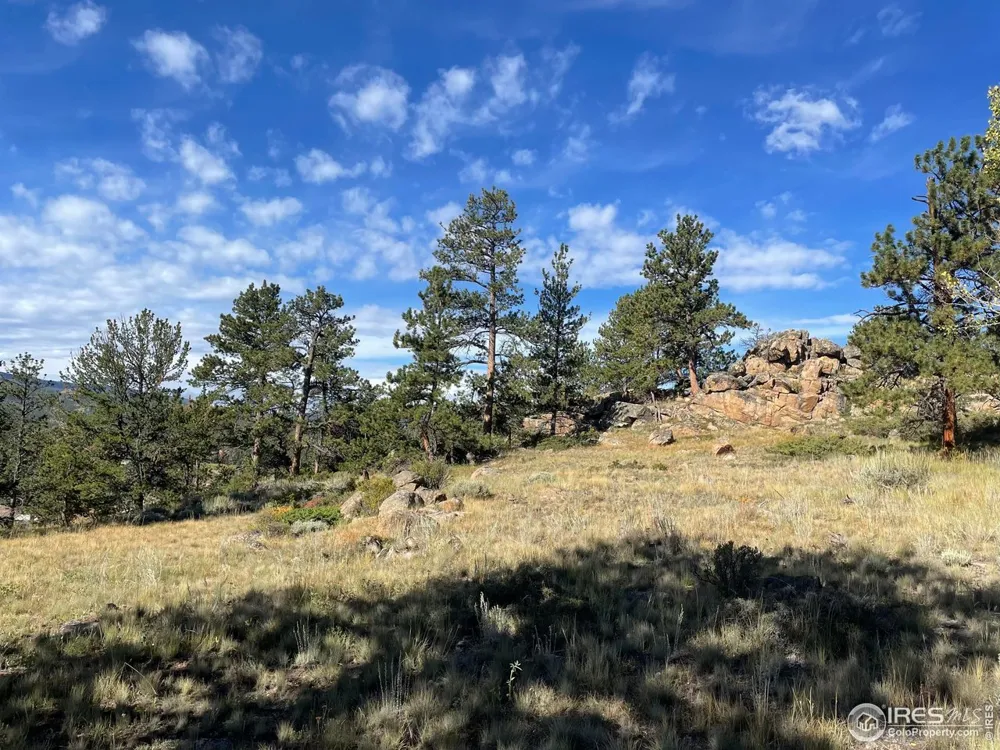 123 Tahlequah Way Red Feather Lakes, CO 80545