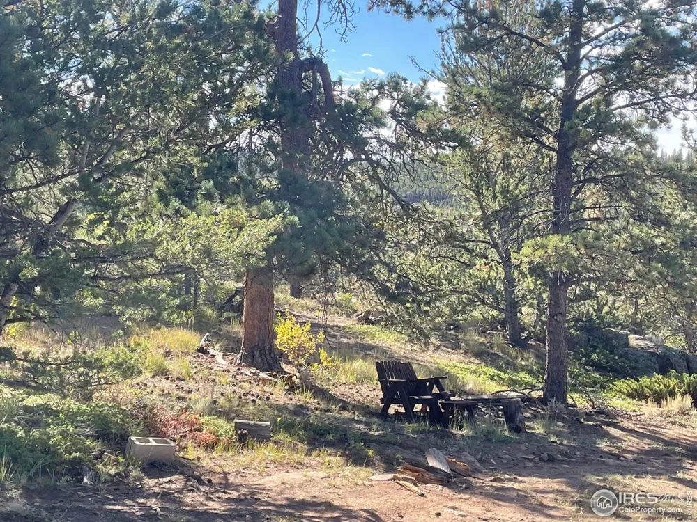 123 Tahlequah Way Red Feather Lakes, CO 80545