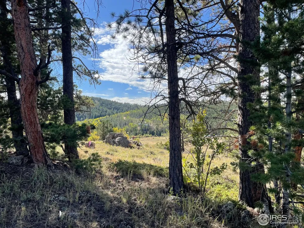 123 Tahlequah Way Red Feather Lakes, CO 80545