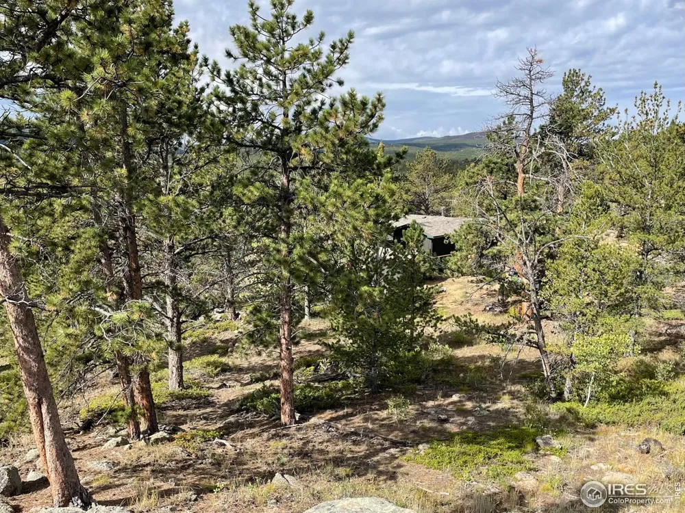 123 Tahlequah Way Red Feather Lakes, CO 80545