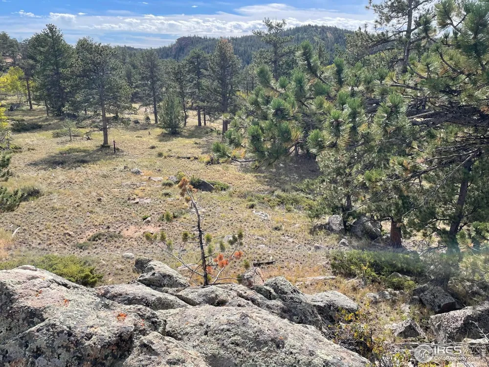 123 Tahlequah Way Red Feather Lakes, CO 80545