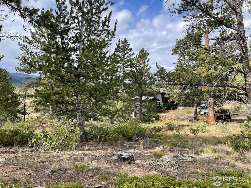 123 Tahlequah Way Red Feather Lakes, CO 80545
