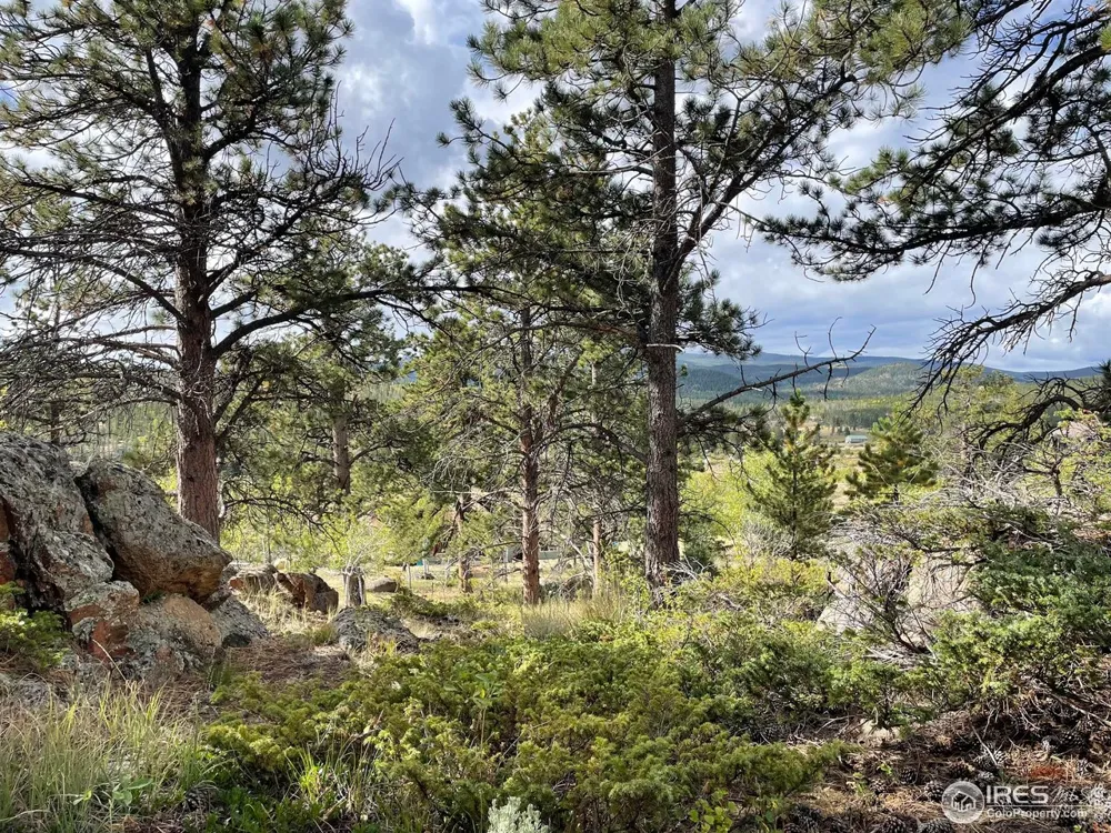 123 Tahlequah Way Red Feather Lakes, CO 80545