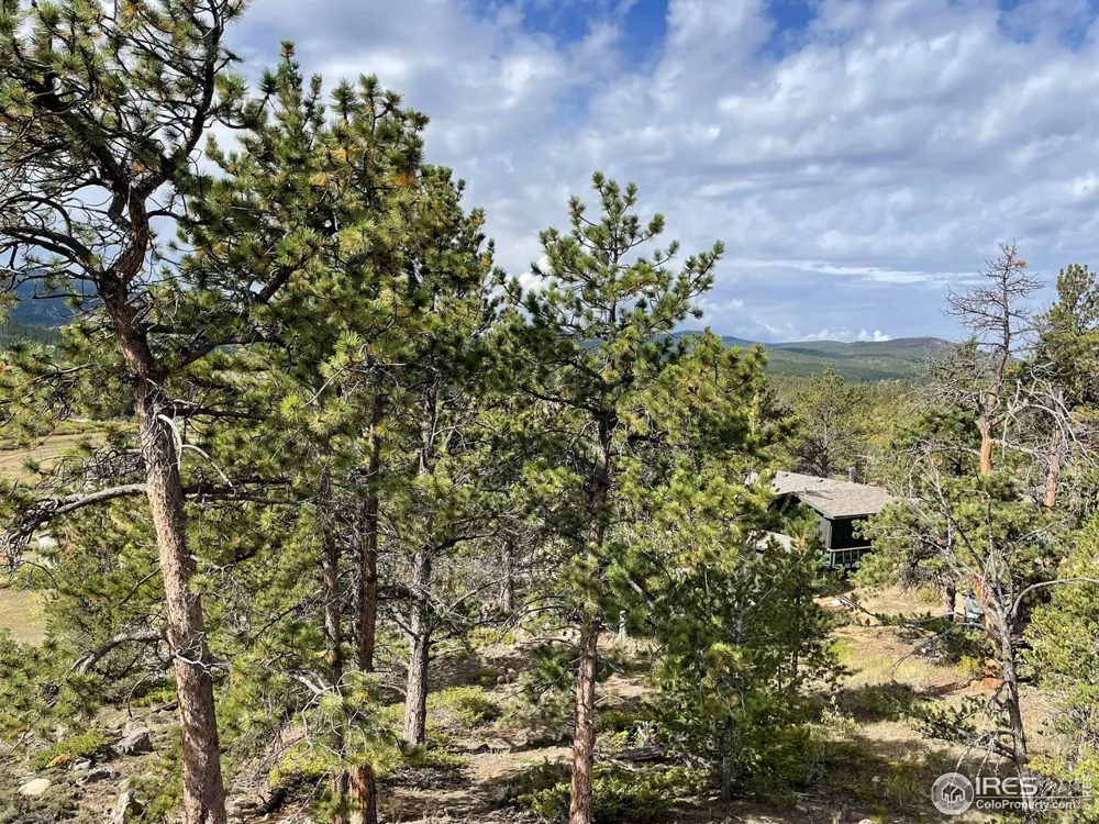 123 Tahlequah Way Red Feather Lakes, CO 80545