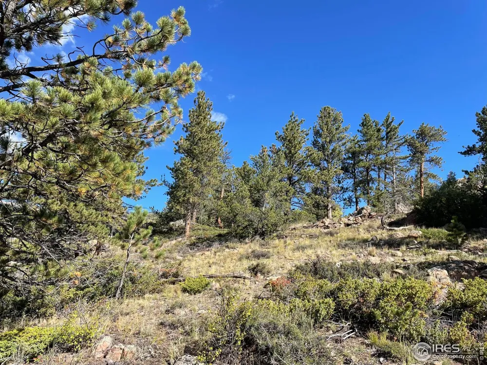 123 Tahlequah Way Red Feather Lakes, CO 80545