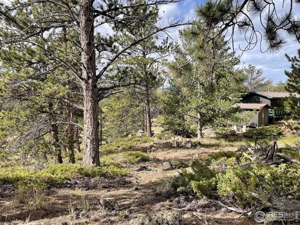 123 Tahlequah Way Red Feather Lakes, CO 80545