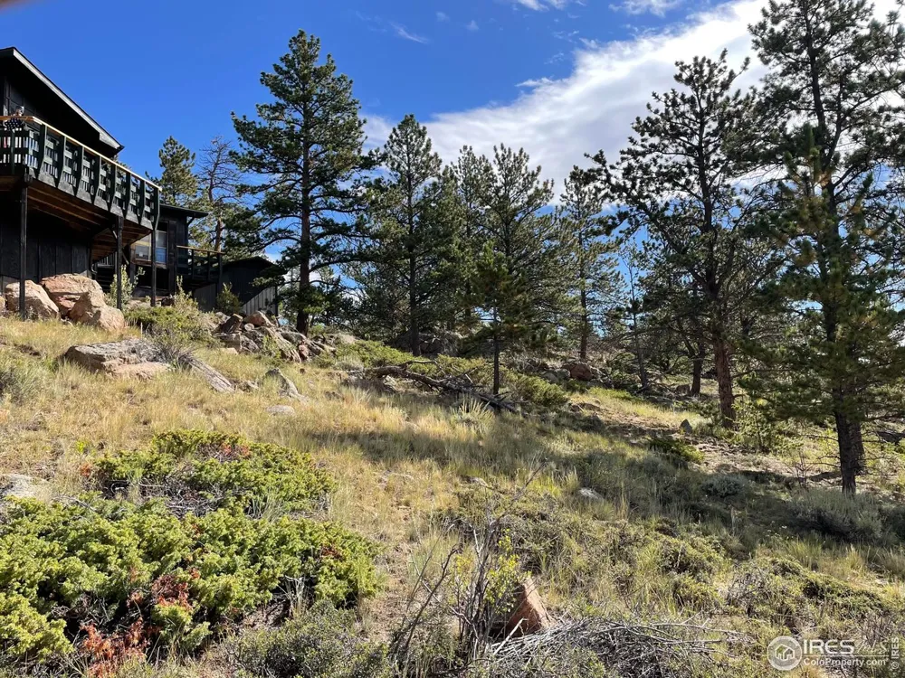 123 Tahlequah Way Red Feather Lakes, CO 80545