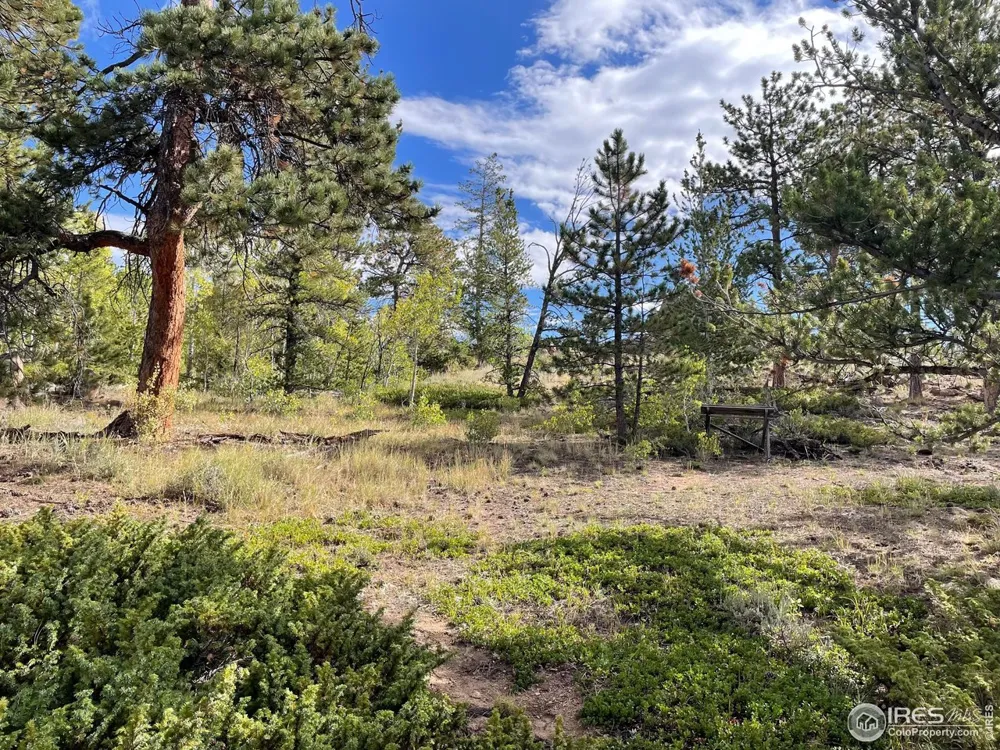 123 Tahlequah Way Red Feather Lakes, CO 80545