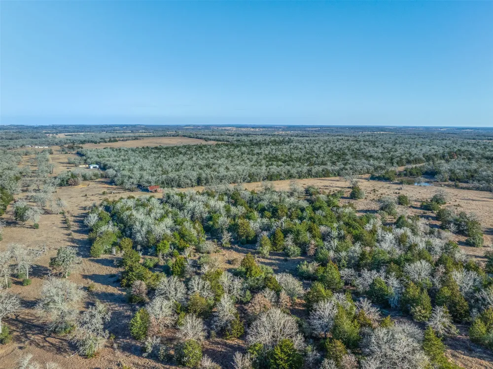 C Road 332 Paige, TX 78659