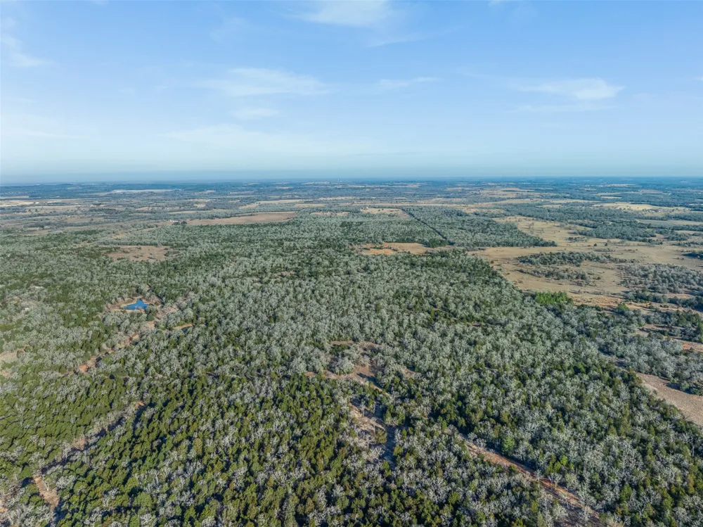 C Road 332 Paige, TX 78659