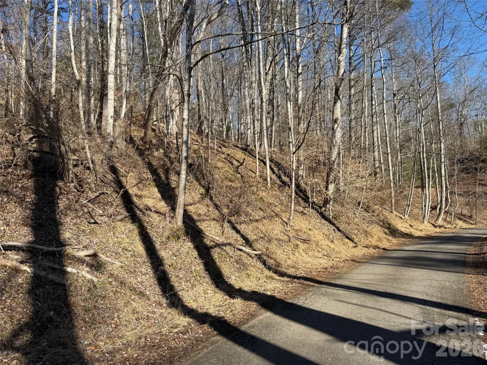 999 Echo Hill Drive #4 Green Mountain, NC 28740
