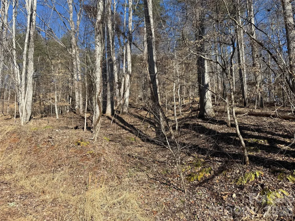 999 Echo Hill Drive #4 Green Mountain, NC 28740